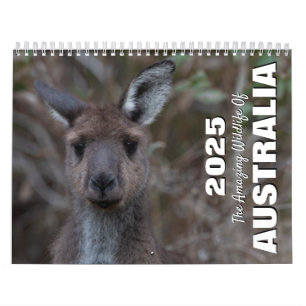 Calendrier Les animaux sauvages Extraordinaires d'Australie
