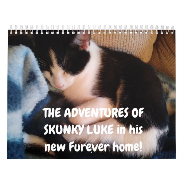 Calendrier Les aventures de Skunky Luke (Protection)