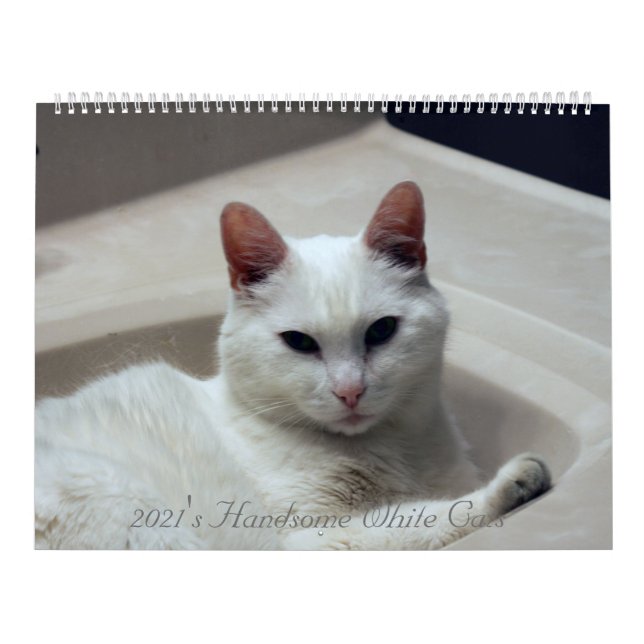 Calendrier Les beaux chats blancs de 2021 (Protection)
