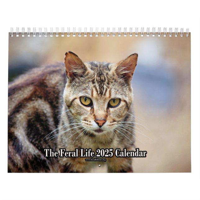 Calendrier Les chats photo Feral Life 2025 (Protection)