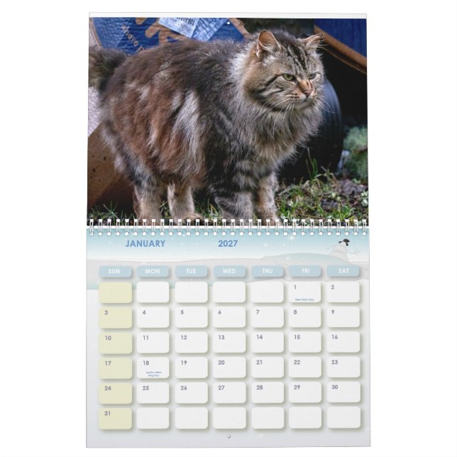 Calendrier Les chats photo Feral Life 2026 (Jan 2027)