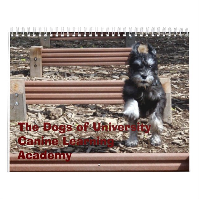 Calendrier Les chiens de l'académie de étude canine (Protection)