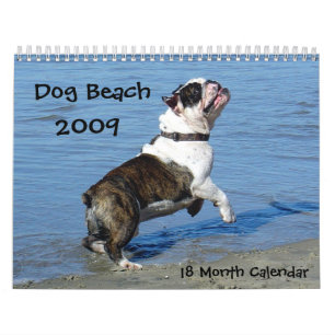 Calendrier Les chiens veulent juste avoir l'amusement…