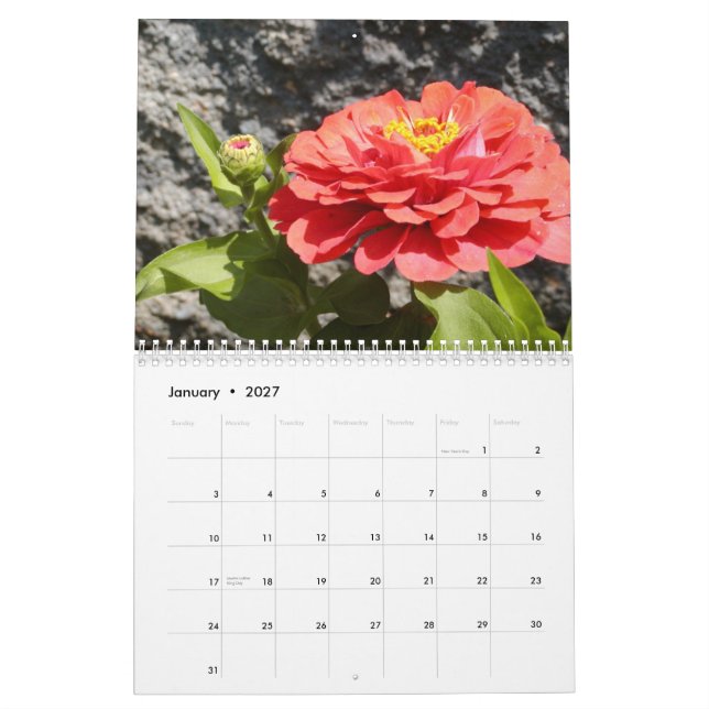 Calendrier les filles et le jardin, vol. 4 (Jan 2027)