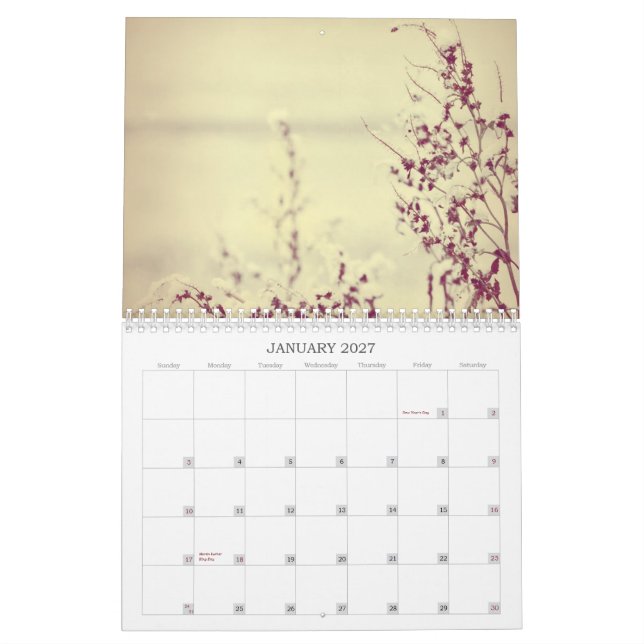 Calendrier Les fleurs classent tout au long de l'année 2013 (Jan 2027)