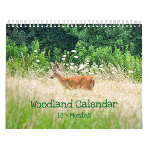 Calendrier Les forêts Créatures Nature