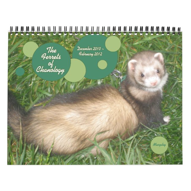 Calendrier Les furets de la chanologie (Protection)