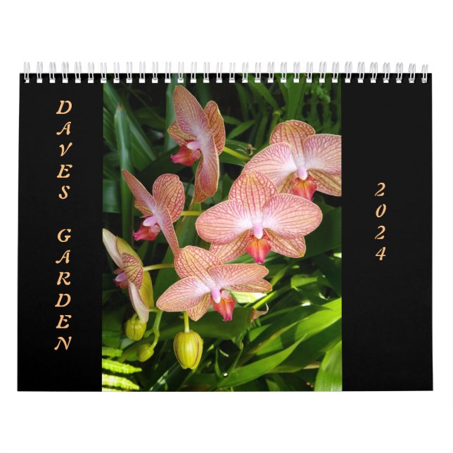 Calendrier Les gagnants du concours de photos du jardin de Da (Protection)