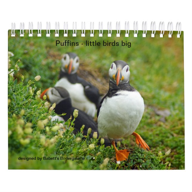 Calendrier Les Grosses Buissons (Protection)