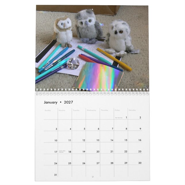 Calendrier Les Hootie-Bébés '15 (Jan 2027)