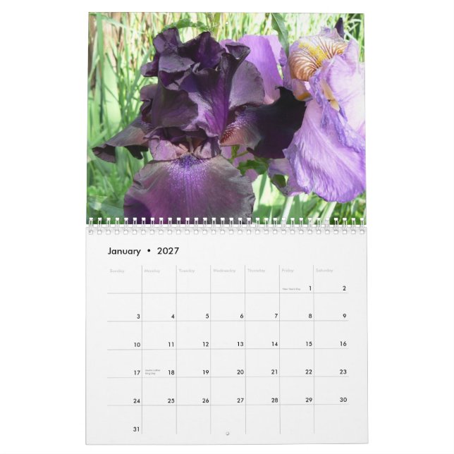 Calendrier Les iris extraordinaires de Marsha Cale 2008… (Jan 2027)