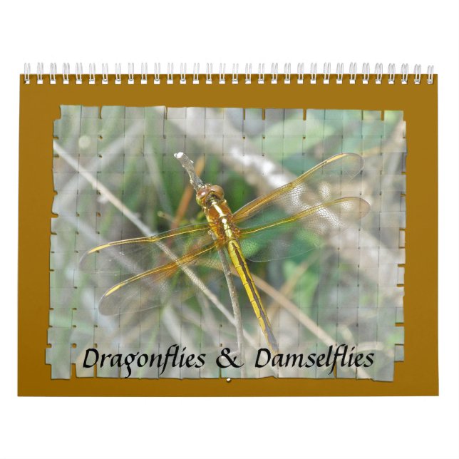 Calendrier - Les libellules et les mouches (Protection)