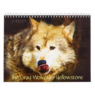 Calendrier Les loups gris de Yellowstone