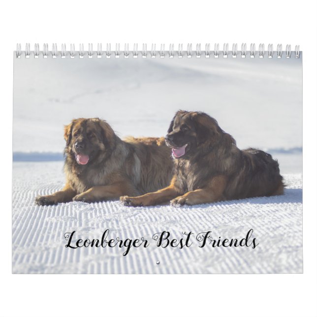 Calendrier Les meilleurs amis de Leonberger (Protection)
