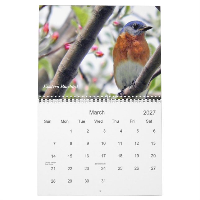 Calendrier Les oiseaux dans votre Jardin photographique (Mar 2027)