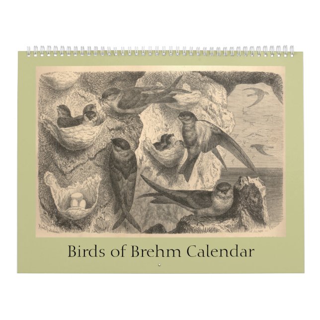 Calendrier Les oiseaux de Brehm (Protection)