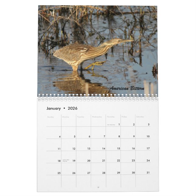 Calendrier Les oiseaux de Forsythe II (Jan 2026)