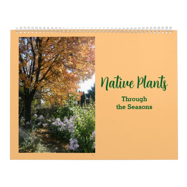Calendrier Les Plantes autochtones au fil des saisons (Protection)