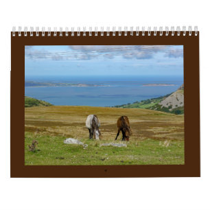 Calendrier Les Ponies Carneddau de Sarah Woodbury