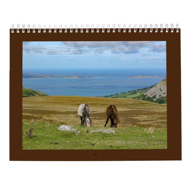Calendrier Les Ponies Carneddau de Sarah Woodbury (Dos)