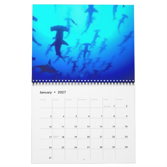 Calendrier Les requins classent 2013 (Jan 2027)