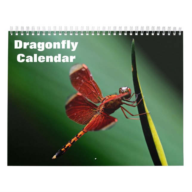 Calendrier Libellule 2027 (Protection)