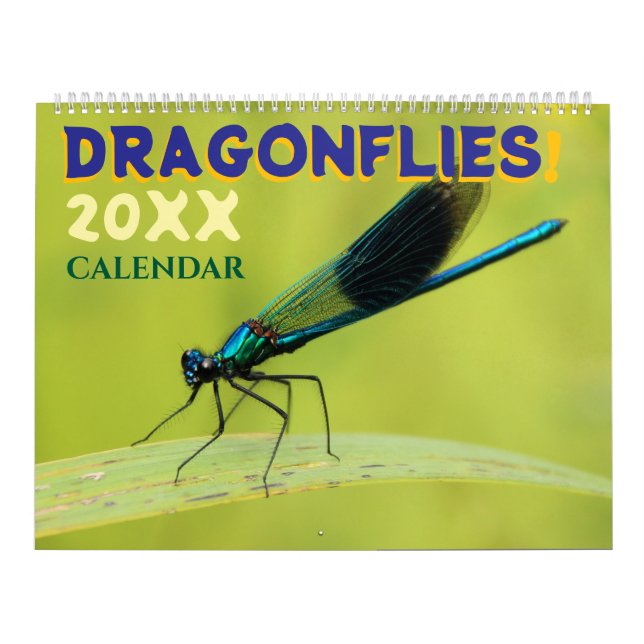 Calendrier Libellules dans le mur de la nature   (Protection)