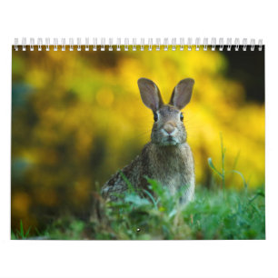 Calendrier Lièvre Lapin, Calendar Rabbit Hares