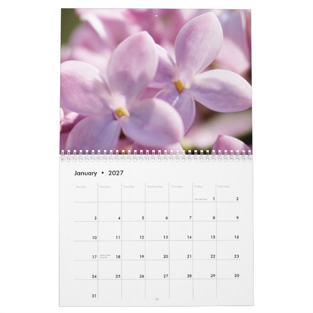 Calendrier Lilas 2015 (12 mois) (Jan 2027)