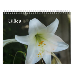 Calendrier Lillies