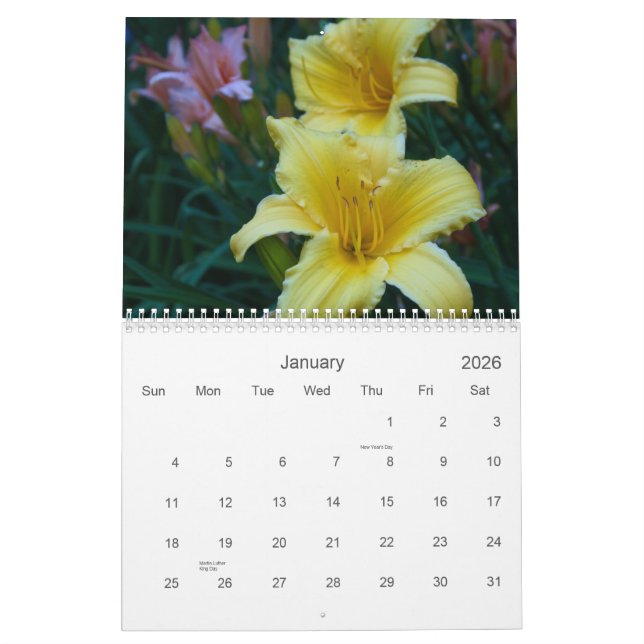 Calendrier Lillies (Jan 2026)