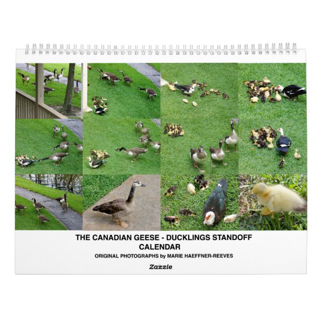 CALENDRIER L'IMPASSE DES *OIES DU CANADA* - *CANETONS* 2026 (Dos)