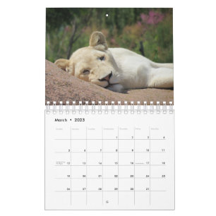 Calendrier Lion