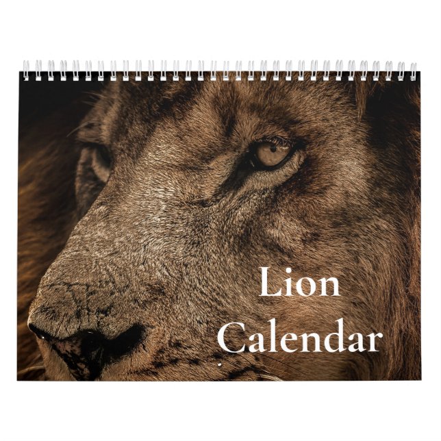 Calendrier Lion 2027 (Protection)
