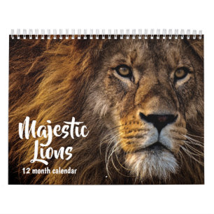 Calendrier Lions Majestic 2025