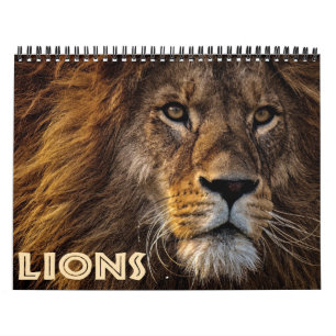 Calendrier Lions sauvages 2022