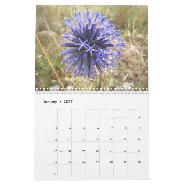 Calendrier l'Israël (Jan 2027)