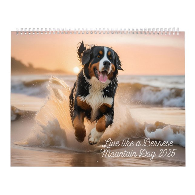 Calendrier Live Like A Bernese 2025 Wall Calendar (Protection)