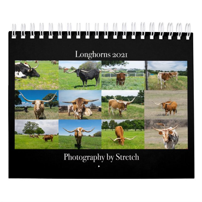 Calendrier Longhorn Cattle Photography (Protection)