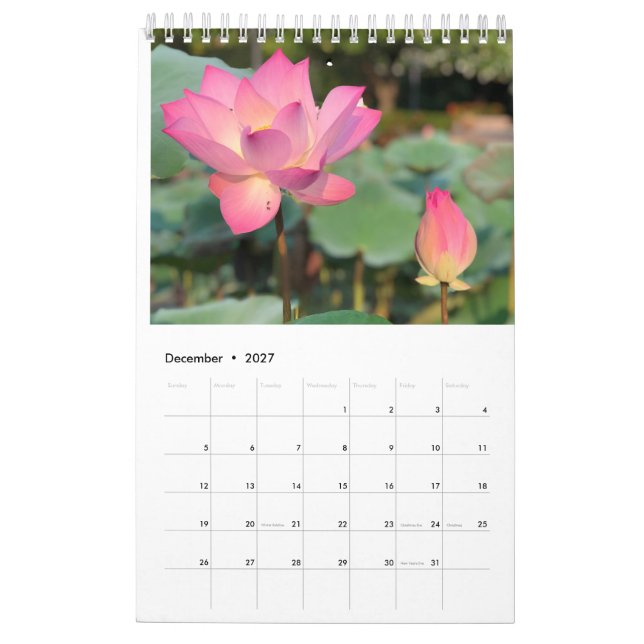 Calendrier Lotus rose (Dec 2027)