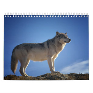 Calendrier Loup, Calendar Wolf
