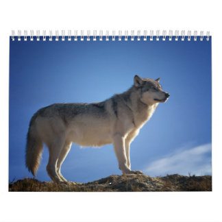 Calendrier Loup, Calendar Wolf