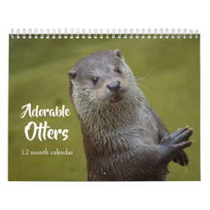 Calendrier Loutres de mer adorables 2026