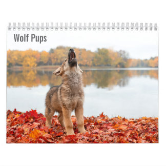 Calendrier Louveteaux 2027