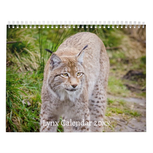 Calendrier Lynx Wildlife (Protection)