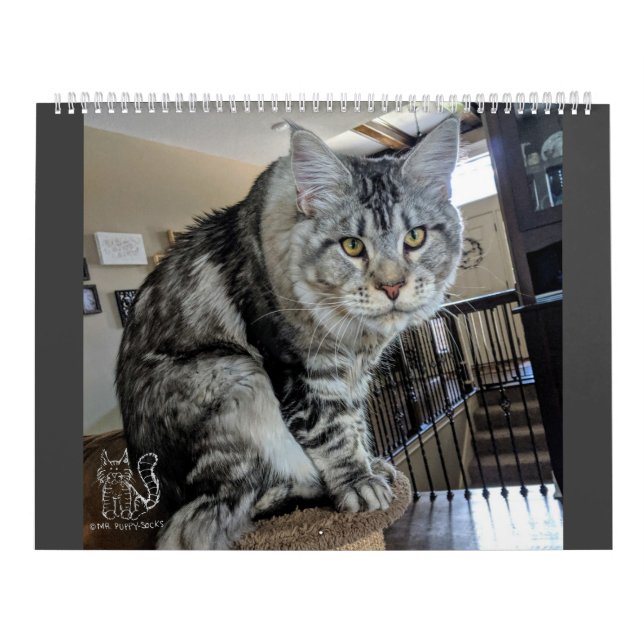 Calendrier M. Chiot-Chaussette Calendar (Protection)