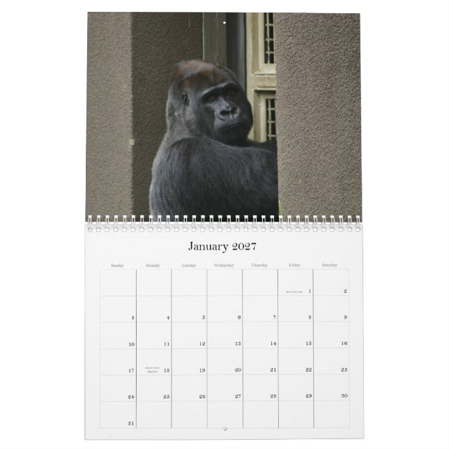 Calendrier M. Silverback (Jan 2027)