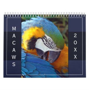 Calendrier Macaw Parrot Blue or Scarlet Hyacinth 2025 Bird