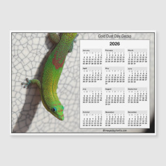 Calendrier magnétique 2026 5x7 Gecko diurne à pous