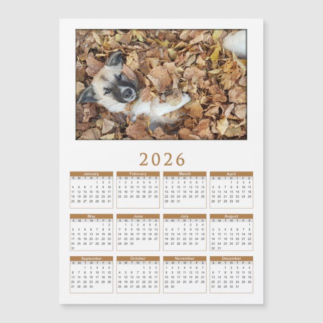 calendrier magnétique 2026 avec Vos animaux (Devant)